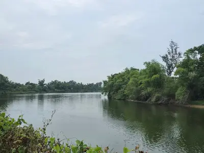 Bán nhà cấp 4 mặt tiền Thôn Giáng Nam 2 Hòa Phước, Hòa Vang – 1.347 m², 14,9 tỷ
