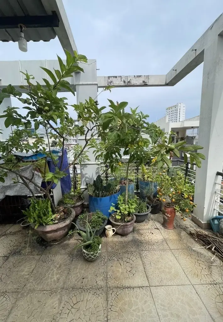 Bán nhà mặt tiền Trần Bình Trọng, Hải Châu – 54 m², 4,5 tầng, 12,1 tỷ – ảnh 2