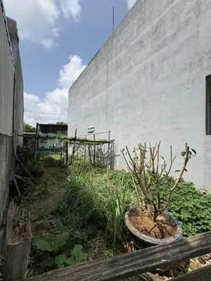 Bán đất Lê Đình Kỵ, Cẩm Lệ – 70 m², 3,45 tỷ – ảnh 2