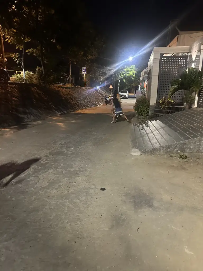 Bán đất mặt tiền Nguyễn Xuân Hữu, Cẩm Lệ – 70,6 m², 4,6 tỷ – ảnh 3