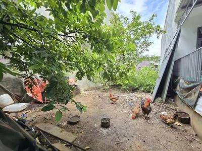 Bán đất mặt tiền Trần Văn Quế, Liên Chiểu – 100 m², 6,6 tỷ