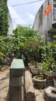 Bán nhà Hằng Phương Nữ Sĩ, Ngũ Hành Sơn – 100 m², 5 tầng, 4,95 tỷ