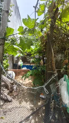 Bán nhà Hằng Phương Nữ Sĩ, Ngũ Hành Sơn – 100 m², 5 tầng, 4,95 tỷ – ảnh 2