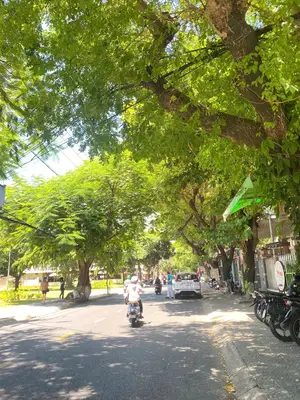 Bán nhà mặt tiền Lý Thường Kiệt, Hội An – 96 m², 2,5 tầng, 5,99 tỷ – ảnh 13