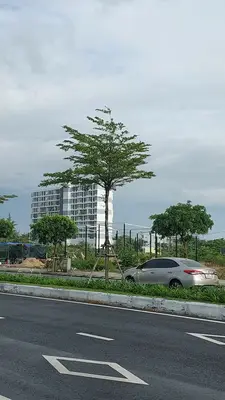 Bán đất mặt tiền Nam Kỳ Khởi Nghĩa, Ngũ Hành Sơn – 482,4 m², 52 tỷ