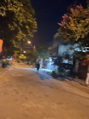 Bán đất Ngô Tử hạ, Cẩm Lệ – 100 m², 5,35 tỷ – ảnh 4