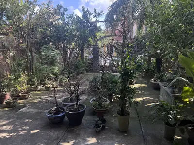 Bán nhà mặt tiền Trần Quang Khải, Hội An – 557 m², 2 tầng, 20 tỷ – ảnh 8