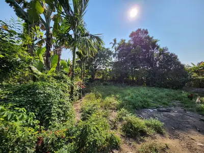 Bán đất Dương Sơn, Hòa Vang – 215 m², 2,59 tỷ