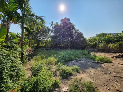 Bán đất Dương Sơn, Hòa Vang – 215 m², 2,59 tỷ – ảnh 4