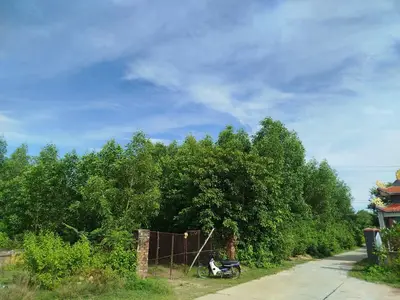 Bán đất Thôn Phú sơn 2, Hòa Vang – 15.000 m², 7,5 tỷ