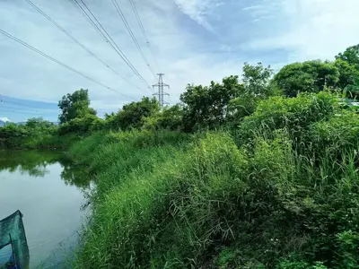 Bán đất Thôn Phú sơn 2, Hòa Vang – 15.000 m², 7,5 tỷ – ảnh 3