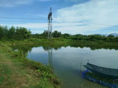 Bán đất Thôn Phú sơn 2, Hòa Vang – 15.000 m², 7,5 tỷ – ảnh 6