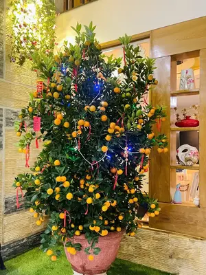 Bán nhà mặt tiền Đồng Trí 7, Liên Chiểu – 110 m², 3 tầng, 7,2 tỷ – ảnh 7