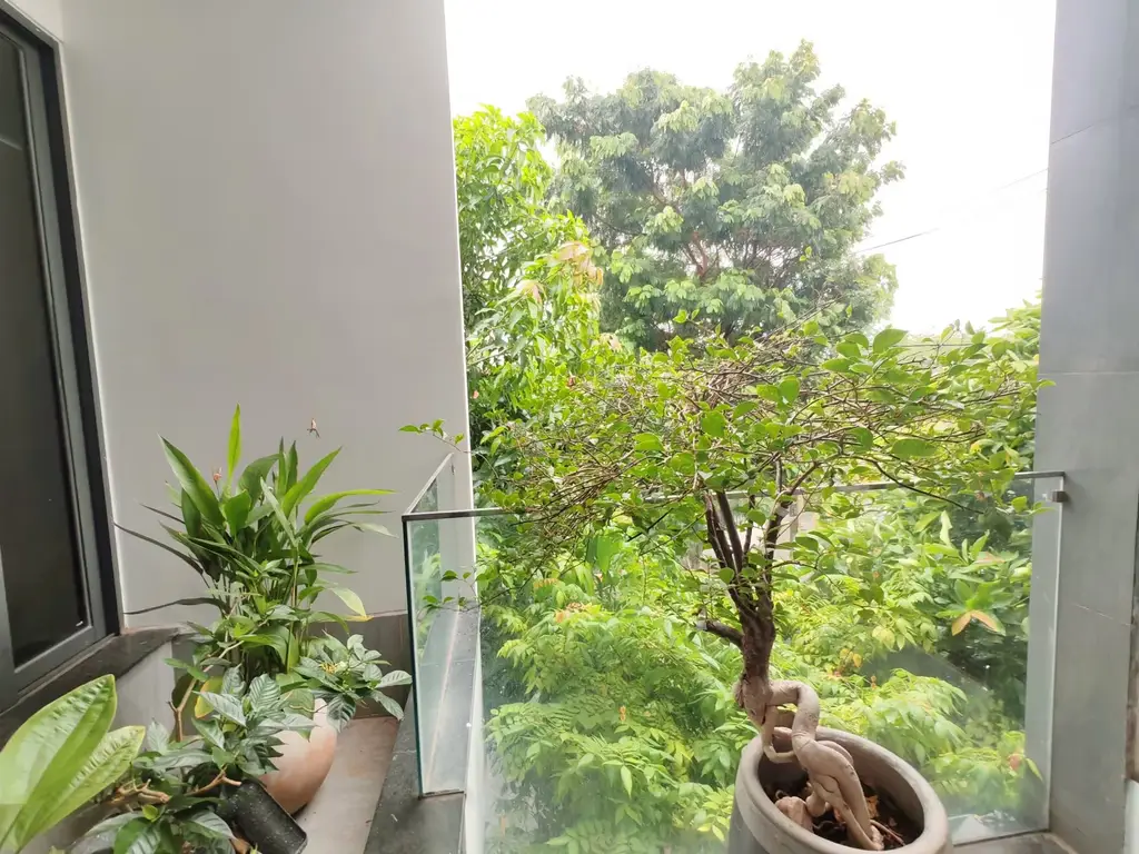 Bán nhà mặt tiền Trần Lê, Cẩm Lệ – 143,2 m², 3 tầng, 15,9 tỷ – ảnh 3