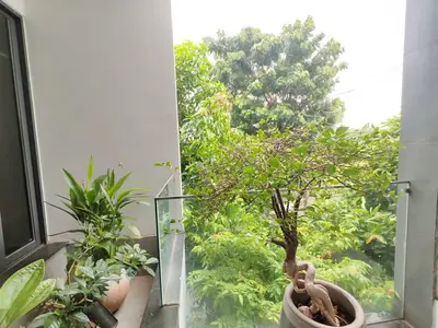 Bán nhà mặt tiền Trần Lê, Cẩm Lệ – 143,2 m², 3 tầng, 15,9 tỷ – ảnh 3