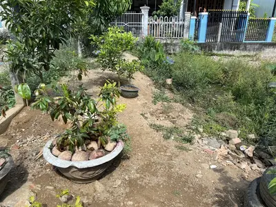Bán đất Nguyễn Như Đãi, Cẩm Lệ – 100 m², 2,45 tỷ – ảnh 6