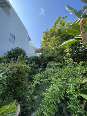 Bán nhà Đinh Tiên Hoàng, Thanh Khê – 186 m², 5,9 tầng, 8,95 tỷ – ảnh 2