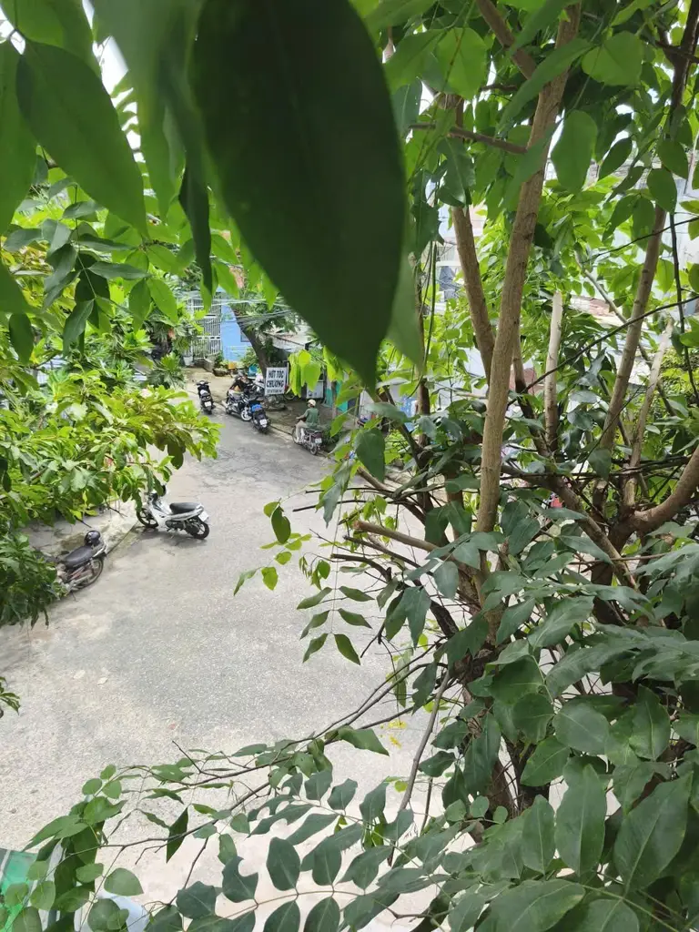 Bán nhà mặt tiền Phước Hòa 3, Hòa Vang – 77 m², 2 tầng, 6,25 tỷ – ảnh 2