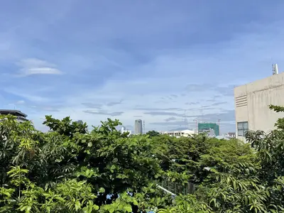 Bán nhà mặt tiền Lý Đạo Thành, Sơn Trà – 150 m², 3 tầng, 18 tỷ – ảnh 2