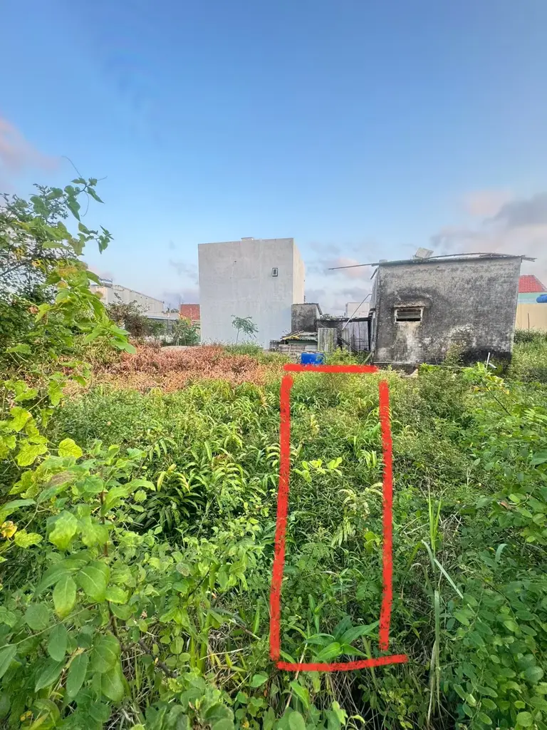Bán đất Mai Đăng Chơn, Ngũ Hành Sơn – 98 m², 2,98 tỷ – ảnh 2