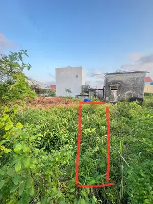 Bán đất Mai Đăng Chơn, Ngũ Hành Sơn – 98 m², 2,98 tỷ – ảnh 2