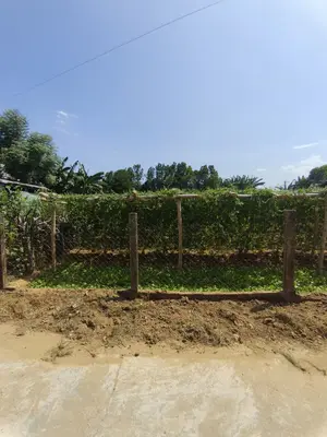 Bán đất Điện Phong, Quảng Nam (khu khác) – 160 m², 690 triệu