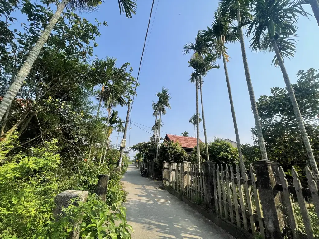 Bán đất Kiệt Trường Sa Duy Thành, Duy Xuyên – 173,5 m², 950 triệu – ảnh 2