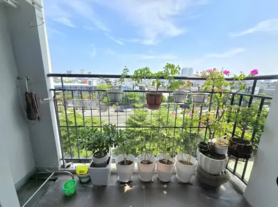 Bán nhà mặt tiền An Trung 2, Sơn Trà – 58 m², 1 tầng, 2,9 tỷ – ảnh 6