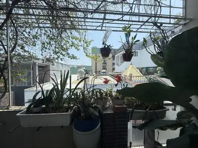 Bán nhà Lê Đình Lý, Thanh Khê – 50 m², 4 tầng, 7,2 tỷ – ảnh 6