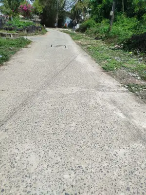 Bán đất Miếu Bông Hòa xuân, Cẩm Lệ – 152 m², 3 tỷ