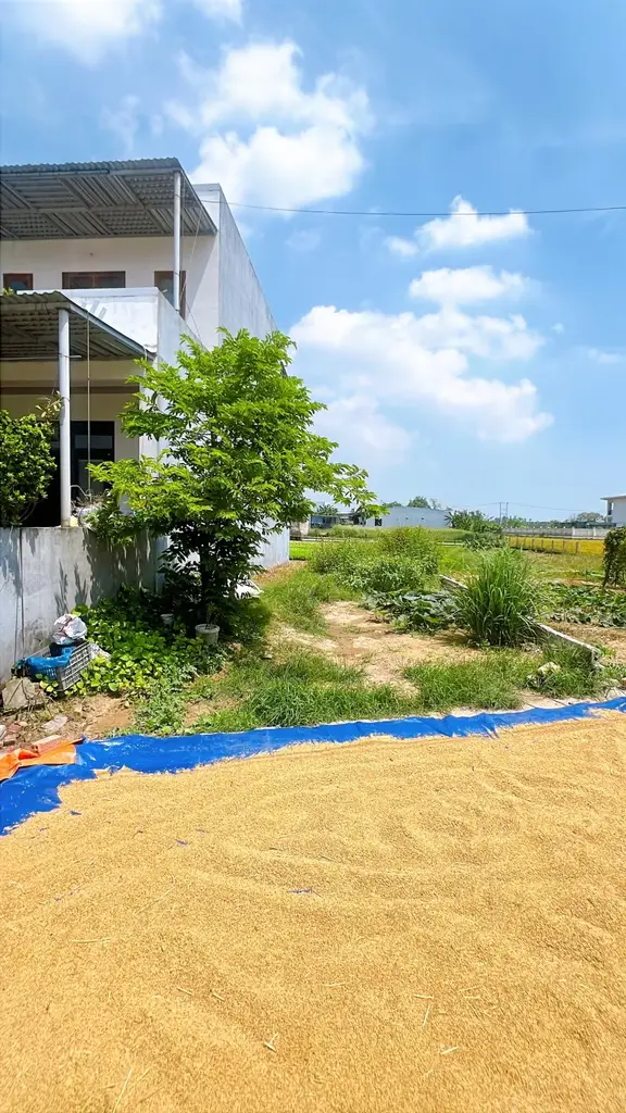 Bán đất Khối Phố Bình Ninh Điện Nam Bắc, Quảng Nam (khu khác) – 87 m², 2,1 tỷ – ảnh 5