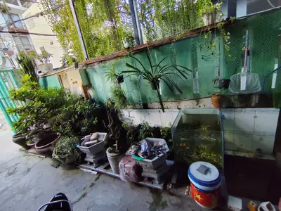 Bán nhà Chế Lan Viên, Ngũ Hành Sơn – 295 m², 2 tầng, 33,5 tỷ – ảnh 3