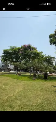 Bán nhà Nguyễn Súy, Hải Châu – 90 m², 4 tầng, 9,8 tỷ – ảnh 11