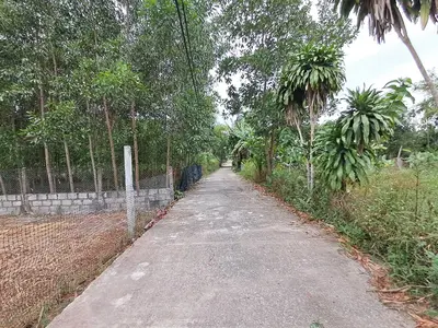 Bán đất Thôn Khương Mỹ, Hòa Vang – 465 m², 2,4 tỷ – ảnh 4