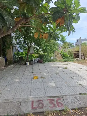 Bán đất mặt tiền Nguyễn Thức Đường, Ngũ Hành Sơn – 101,5 m², 10,5 tỷ – ảnh 3