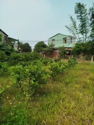 Bán đất Khối phố Mỹ Xuyên Nam Phước Duy Xuyên, Quảng Nam (khu khác) – 1.686 m², 12,5 tỷ