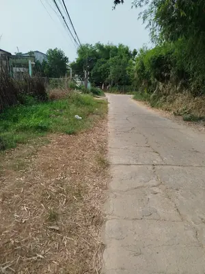 Bán đất Khối phố Mỹ Xuyên Nam Phước Duy Xuyên, Quảng Nam (khu khác) – 1.686 m², 12,5 tỷ – ảnh 4
