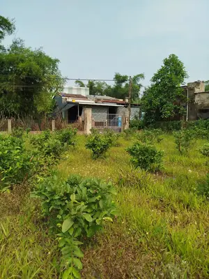 Bán đất Khối phố Mỹ Xuyên Nam Phước Duy Xuyên, Quảng Nam (khu khác) – 1.686 m², 12,5 tỷ – ảnh 5