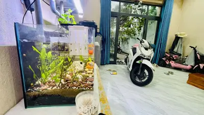 Bán nhà cấp 4 mặt tiền Đào Nghiễm, Liên Chiểu – 127,8 m², 6,5 tỷ