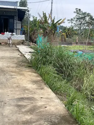 Bán đất Bồ Bồ, Điện Bàn – 100 m², 700 triệu