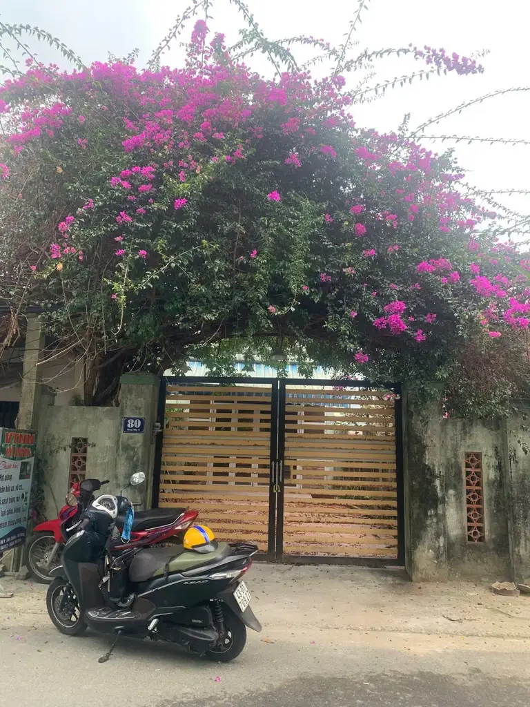 Bán nhà mặt tiền Hòa Mỹ 9, Liên Chiểu – 269,2 m², 2 tầng, 10,2 tỷ – ảnh 2