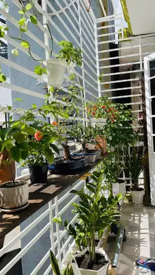 Bán nhà Kiệt Phạm Văn Nghị, Thanh Khê – 27,6 m², 2 tầng, 2,55 tỷ – ảnh 3