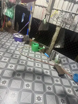 Bán nhà cấp 4 Hẻm Trần Thủ Độ, Hội An – 180 m², 2,85 tỷ – ảnh 3
