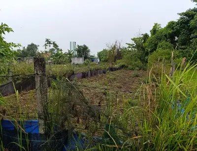 Bán đất thôn Quang Hiện xã Điện Hòa huyện Điện Bàn, Quảng Nam (khu khác) – 150 m², 930 triệu