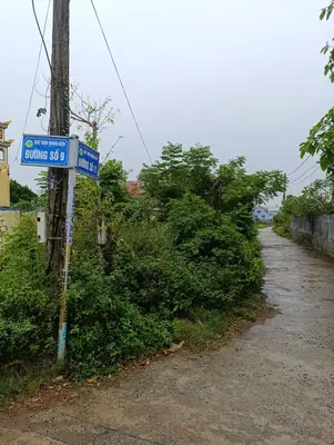 Bán đất thôn Quang Hiện xã Điện Hòa huyện Điện Bàn, Quảng Nam (khu khác) – 150 m², 930 triệu – ảnh 2