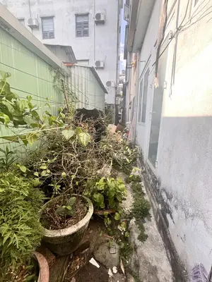 Bán nhà mặt tiền Mạc Thị Bưởi, Hải Châu – 86 m², 2 tầng, 9,5 tỷ – ảnh 8