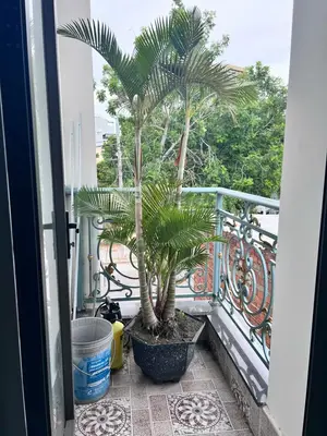 Bán nhà mặt tiền Nguyễn Đình, Sơn Trà – 93 m², 3 tầng, 13,99 tỷ – ảnh 5