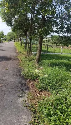 Bán đất Thôn PHƯỚC HƯNG NAM Hòa Nhơn, Hòa Vang – 808 m², 1,19 tỷ – ảnh 3