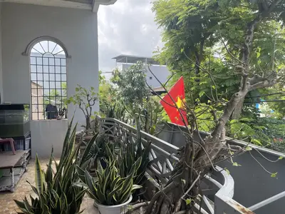 Bán nhà Tôn Đản, Cẩm Lệ – 168 m², 2 tầng, 8 tỷ – ảnh 7