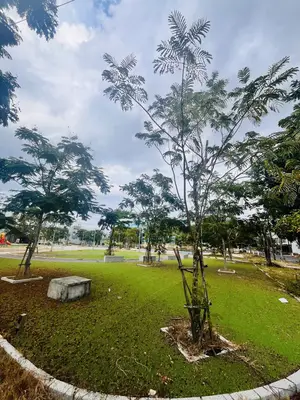 Bán đất mặt tiền Việt Bắc, Ngũ Hành Sơn – 80 m², 4,8 tỷ